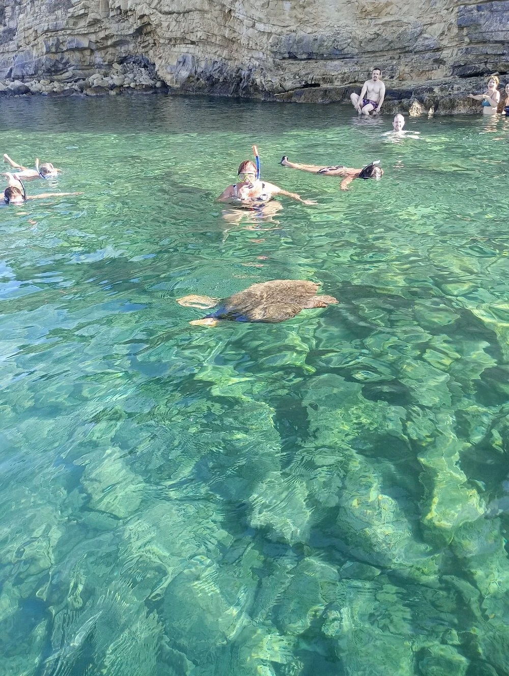 Psarou Cruises Zante - Κουραζιέρες στη Ζάκυνθο